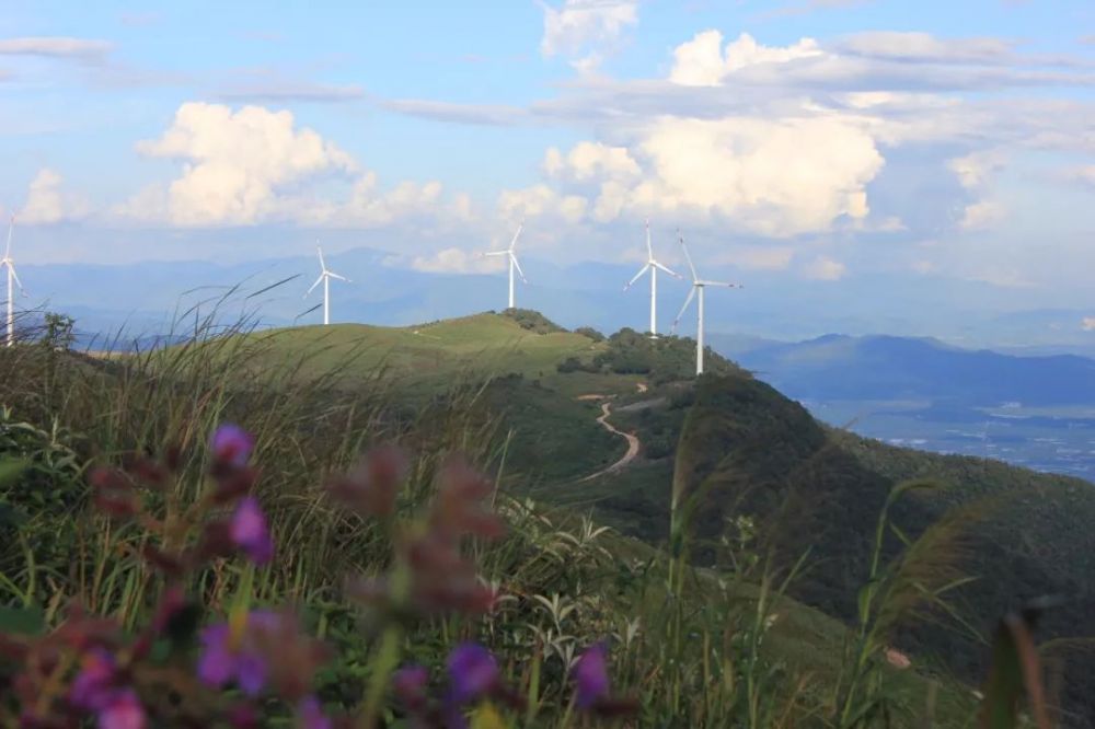 中广核新能源云南勐海科普教育基地